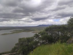 Flora del Cerro Masatrigo